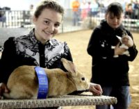 Sixtieth Annual Livestock Show to kickoff Thursday