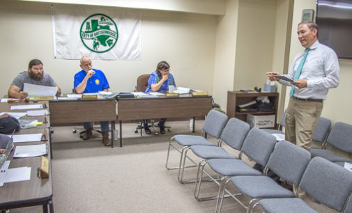 City approves engineering contract, board nominations; Trade Days changes on the horizon