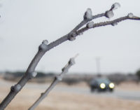 Emergency services respond to local accidents caused by icy roads