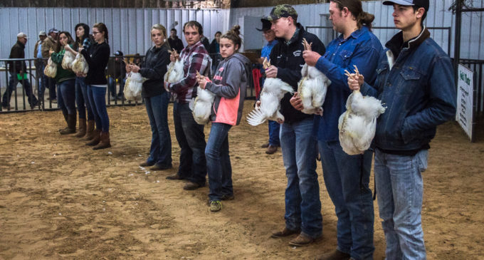 Cantrell takes home top honors in SCJLS Poultry Division
