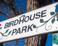 Fourth annual Birdhouse Contest kicks off