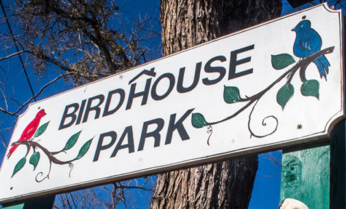 Fourth annual Birdhouse Contest kicks off