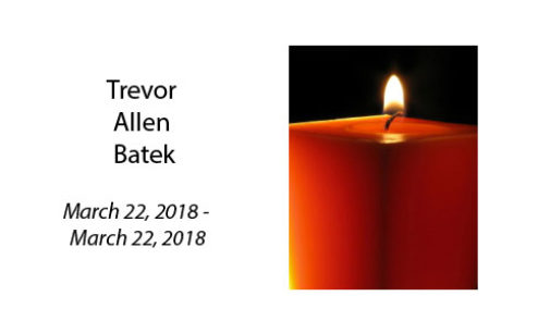 Trevor Allen Batek