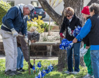 Volunteers decorate courthouse lawn to draw attention to child abuse, neglect