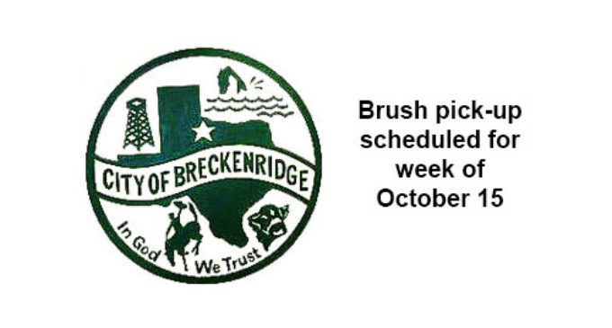 City to pick up brush, tree trimmings week of Oct. 15