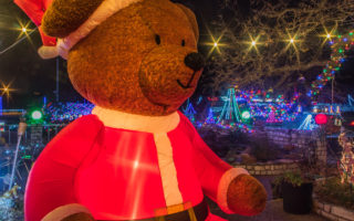 Possum Hollow Christmas Lights