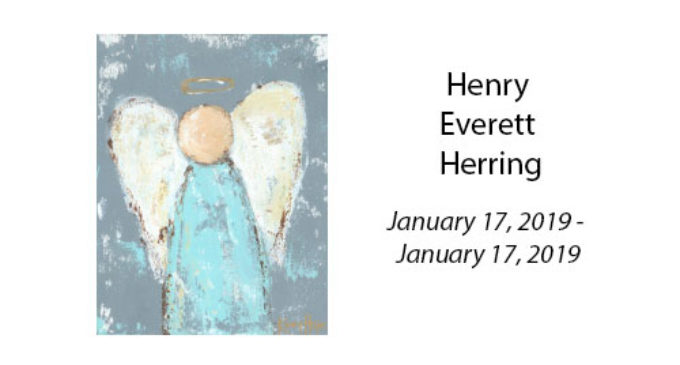 Henry Everett Herring