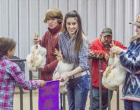 Rianna Maynard, Hannah Moreno show top two pens of poultry