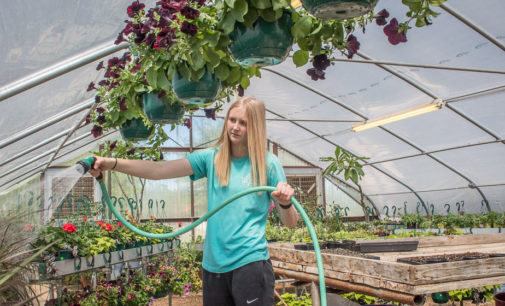 Annual BHS plant sale set for Saturday, with pre-sale scheduled for Friday afternoon