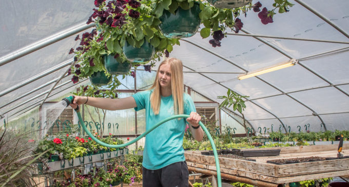 Annual BHS plant sale set for Saturday, with pre-sale scheduled for Friday afternoon