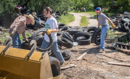Cleanup project at illegal dump site removes more than 1,000 tires