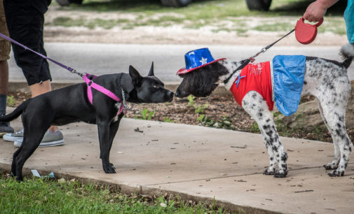 Pet Parade showcases Breckenridge’s best dogs