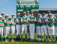 Breckenridge Little League Intermediate All-Stars to play in state tournament this week