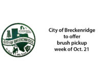 City to offer brush pickup the week of Oct. 21
