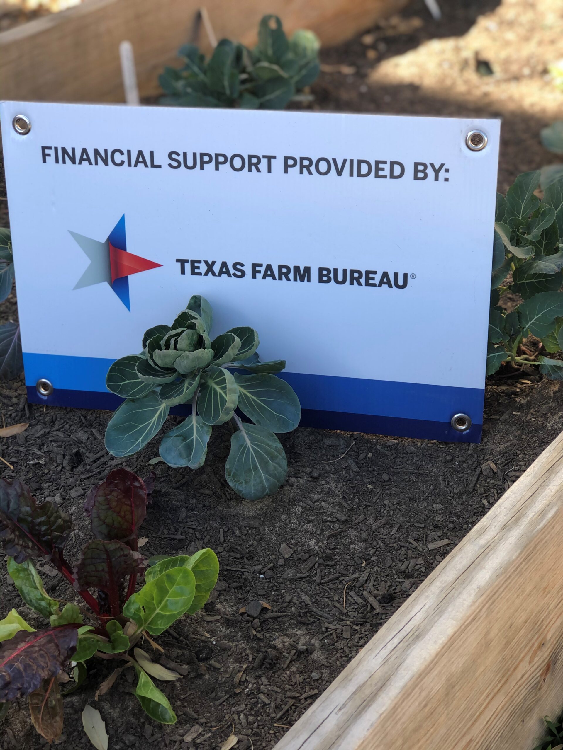 Farm Bureau grants enable AgriLife Extension, South Elementary to