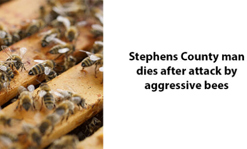 Stephens County man dies after bees attack him while he was mowing lawn