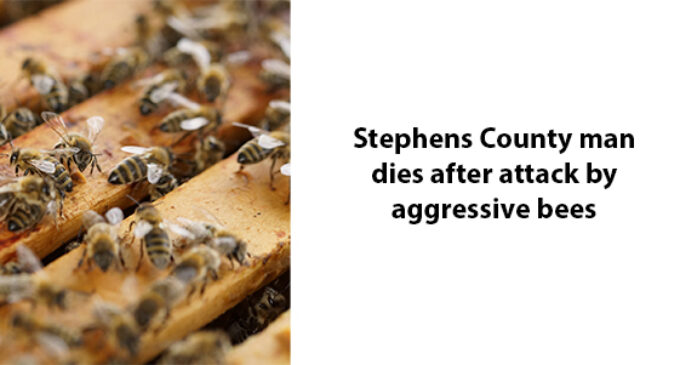 Stephens County man dies after bees attack him while he was mowing lawn