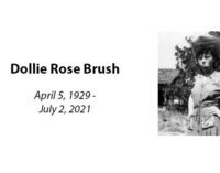 Dollie Rose Brush