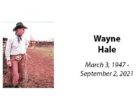 Wayne Hale