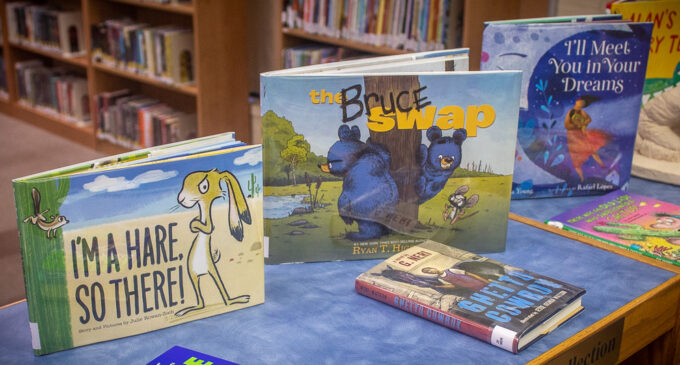 Breckenridge Library adds new books to collection