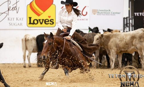 Shortes competes, places in cutting horse world finals