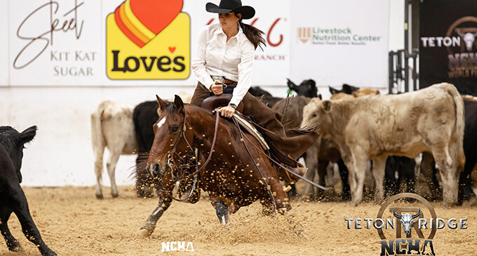 Shortes competes, places in cutting horse world finals