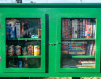 Little Free Library and Blessing Box in city park offers books, other items for community