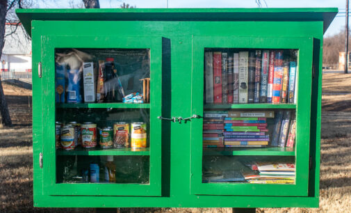 Little Free Library and Blessing Box in city park offers books, other items for community