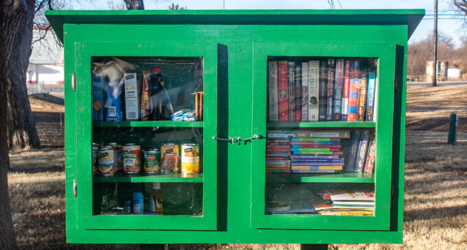 Little Free Library and Blessing Box in city park offers books, other items for community