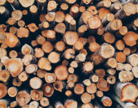 City to pick up brush week of March 21; curbside deadline set for March 18