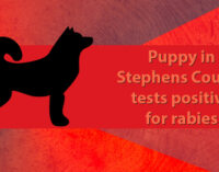 Local puppy tests positive for rabies; authorities advise residents to take precautions