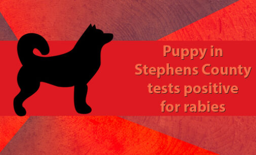 Local puppy tests positive for rabies; authorities advise residents to take precautions