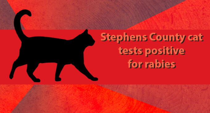 Stephens County cat tests positive for rabies