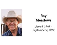 Ray Meadows