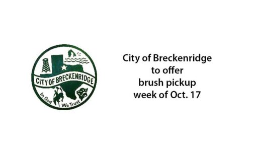 City to offer brush pick-up next week; deadline is Friday, Oct. 14