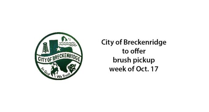 City to offer brush pick-up next week; deadline is Friday, Oct. 14