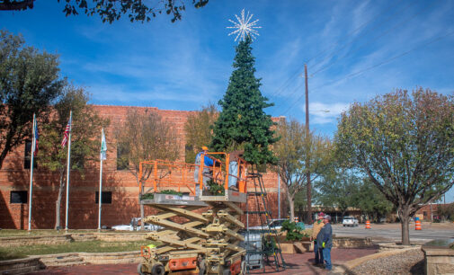 Mingle & Jingle, lighting of new community Christmas tree slated for Thursday evening, Nov. 17