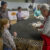 Stephens County Junior Livestock Show-2023: Thursday