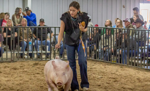 SCJLS 2023: Addison Duncan takes home top three Swine Division awards