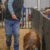 Stephens County Junior Livestock Show-2023: Friday