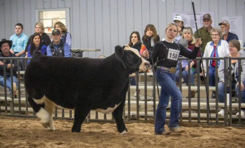 2024 Stephens County Junior Livestock Show to kickoff Thursday, Jan. 4, at county ag center