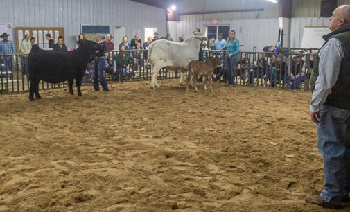 Local FFA and 4H to host stock show meetings July 31, Aug. 28