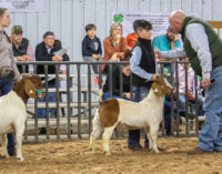 SCJLS 2023: Top honors in Goat Division go to Addison Duncan and MacKenzie Cloud