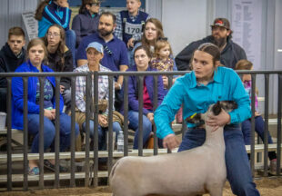 Stephens County Junior Livestock Show-2023: Saturday