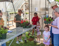 AgriLife Extension raises funds for 4-H and other projects with Mother’s Day plant sale