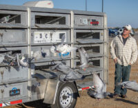 Pigeon racers fly east to DFW Metroplex area after Breckenridge start on Saturday