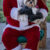 Wags & Whiskers, Fun Run and Santa Puppy Pictures