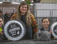 SCJLS 2024: Rabbit Division opens 66th Stephens County Junior Livestock Show
