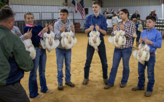 Poultry Competition 2024 in Photos