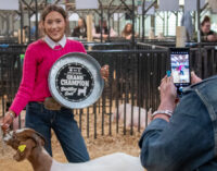 SCJLS 2024: Addison Duncan shows Grand Champion goats